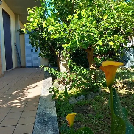 Lägenhet Con Wifi, Giardino Recintato Di 135m2 Altidona