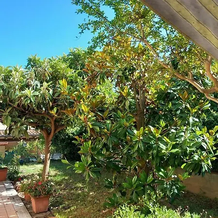 Con Wifi, Giardino Recintato Di 135m2 Lägenhet *